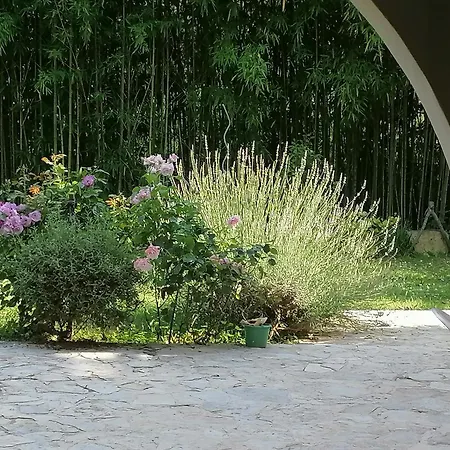 Chez Yvette & Shoji Отель типа 